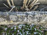 image of grave number 281554